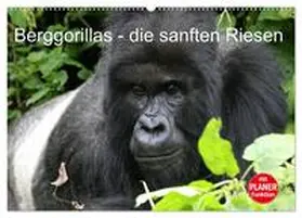 Herzog / CALVENDO |  Berggorillas - die sanften Riesen (Wandkalender 2025 DIN A2 quer), CALVENDO Monatskalender | Sonstiges |  Sack Fachmedien