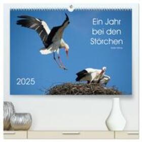 Bittner / CALVENDO |  Ein Jahr bei den Störchen (hochwertiger Premium Wandkalender 2025 DIN A2 quer), Kunstdruck in Hochglanz | Sonstiges |  Sack Fachmedien