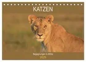 Herzog / CALVENDO |  Katzen - Begegnungen in Afrika (Tischkalender 2025 DIN A5 quer), CALVENDO Monatskalender | Sonstiges |  Sack Fachmedien