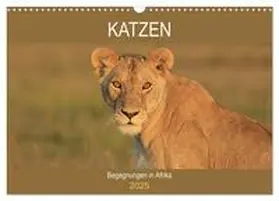 Herzog / CALVENDO |  Katzen - Begegnungen in Afrika (Wandkalender 2025 DIN A3 quer), CALVENDO Monatskalender | Sonstiges |  Sack Fachmedien