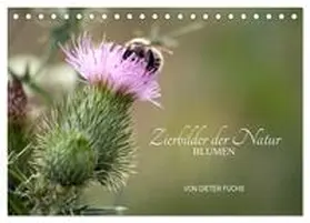 Fuchs / CALVENDO |  Zierbilder der Natur BLUMEN (Tischkalender 2025 DIN A5 quer), CALVENDO Monatskalender | Sonstiges |  Sack Fachmedien