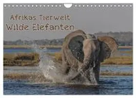 Voß / CALVENDO |  Afrikas Tierwelt - Wilde Elefanten (Wandkalender 2025 DIN A4 quer), CALVENDO Monatskalender | Sonstiges |  Sack Fachmedien