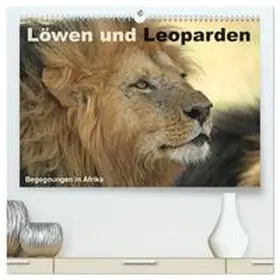 Herzog / CALVENDO |  Löwen und Leoparden - Begegnungen in Afrika (hochwertiger Premium Wandkalender 2025 DIN A2 quer), Kunstdruck in Hochglanz | Sonstiges |  Sack Fachmedien