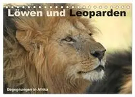 Herzog / CALVENDO |  Löwen und Leoparden - Begegnungen in Afrika (Tischkalender 2025 DIN A5 quer), CALVENDO Monatskalender | Sonstiges |  Sack Fachmedien