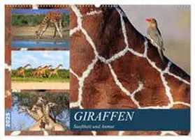 Herzog / CALVENDO |  Giraffen - Sanftheit und Anmut (Wandkalender 2025 DIN A2 quer), CALVENDO Monatskalender | Sonstiges |  Sack Fachmedien