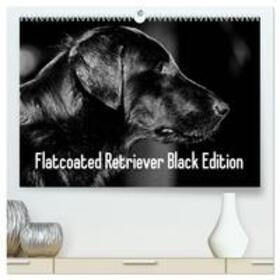 Müller / CALVENDO |  Flatcoated Retriever Black Edition (hochwertiger Premium Wandkalender 2025 DIN A2 quer), Kunstdruck in Hochglanz | Sonstiges |  Sack Fachmedien