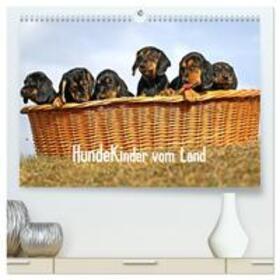 Müller / CALVENDO |  Hundekinder vom Land (hochwertiger Premium Wandkalender 2025 DIN A2 quer), Kunstdruck in Hochglanz | Sonstiges |  Sack Fachmedien