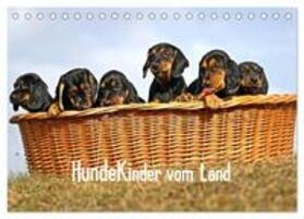 Müller / CALVENDO |  Hundekinder vom Land (Tischkalender 2025 DIN A5 quer), CALVENDO Monatskalender | Sonstiges |  Sack Fachmedien
