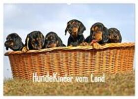 Müller / CALVENDO |  Hundekinder vom Land (Wandkalender 2025 DIN A2 quer), CALVENDO Monatskalender | Sonstiges |  Sack Fachmedien