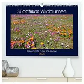 Herzog / CALVENDO |  Südafrikas Wildblumen - Blütenpracht in der Kap-Region (hochwertiger Premium Wandkalender 2025 DIN A2 quer), Kunstdruck in Hochglanz | Sonstiges |  Sack Fachmedien