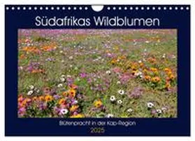 Herzog / CALVENDO |  Südafrikas Wildblumen - Blütenpracht in der Kap-Region (Wandkalender 2025 DIN A4 quer), CALVENDO Monatskalender | Sonstiges |  Sack Fachmedien