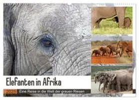 Herzog / CALVENDO |  Elefanten in Afrika (Wandkalender 2025 DIN A2 quer), CALVENDO Monatskalender | Sonstiges |  Sack Fachmedien