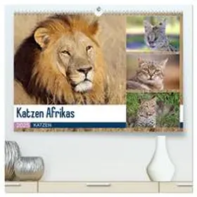 Herzog / CALVENDO |  Katzen Afrikas (hochwertiger Premium Wandkalender 2025 DIN A2 quer), Kunstdruck in Hochglanz | Sonstiges |  Sack Fachmedien