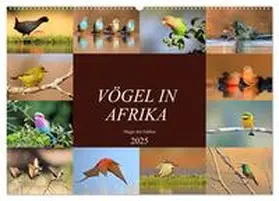 Herzog / CALVENDO |  Vögel in Afrika - Magie der Farben (Wandkalender 2025 DIN A2 quer), CALVENDO Monatskalender | Sonstiges |  Sack Fachmedien