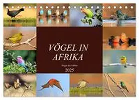 Herzog / CALVENDO |  Vögel in Afrika - Magie der Farben (Tischkalender 2025 DIN A5 quer), CALVENDO Monatskalender | Sonstiges |  Sack Fachmedien