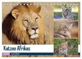 Herzog / CALVENDO |  Katzen Afrikas (Tischkalender 2025 DIN A5 quer), CALVENDO Monatskalender | Sonstiges |  Sack Fachmedien