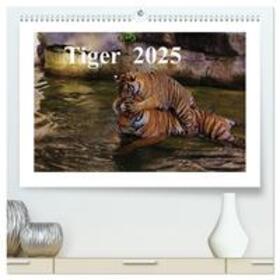 CALVENDO / Hennig |  Tiger 2025 (hochwertiger Premium Wandkalender 2025 DIN A2 quer), Kunstdruck in Hochglanz | Sonstiges |  Sack Fachmedien