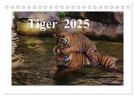 Hennig / CALVENDO |  Tiger 2025 (Tischkalender 2025 DIN A5 quer), CALVENDO Monatskalender | Sonstiges |  Sack Fachmedien