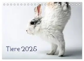 Zwanzger / CALVENDO |  Tiere 2025 (Tischkalender 2025 DIN A5 quer), CALVENDO Monatskalender | Sonstiges |  Sack Fachmedien