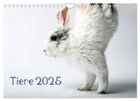 Zwanzger / CALVENDO |  Tiere 2025 (Wandkalender 2025 DIN A4 quer), CALVENDO Monatskalender | Sonstiges |  Sack Fachmedien