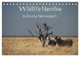 Müller / CALVENDO |  Wildlife Namibia (Tischkalender 2025 DIN A5 quer), CALVENDO Monatskalender | Sonstiges |  Sack Fachmedien