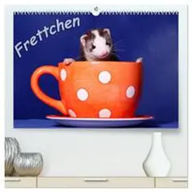 Hutfluss / CALVENDO |  Frettchen - Ferrets (hochwertiger Premium Wandkalender 2025 DIN A2 quer), Kunstdruck in Hochglanz | Sonstiges |  Sack Fachmedien