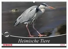 SchnelleWelten / CALVENDO |  Heimische Tiere (Wandkalender 2025 DIN A2 quer), CALVENDO Monatskalender | Sonstiges |  Sack Fachmedien