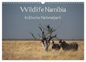 Müller / CALVENDO |  Wildlife Namibia (Wandkalender 2025 DIN A3 quer), CALVENDO Monatskalender | Sonstiges |  Sack Fachmedien