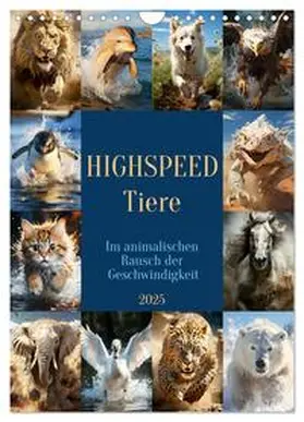 Illgen / CALVENDO |  Highspeed Tiere (Wandkalender 2025 DIN A4 hoch), CALVENDO Monatskalender | Sonstiges |  Sack Fachmedien