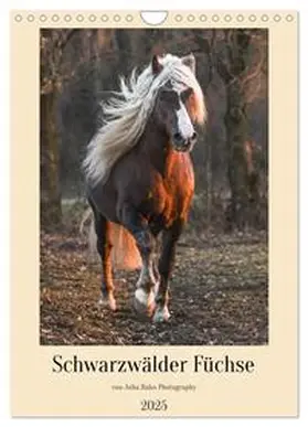 Hahn / CALVENDO |  Schwarzwälder Füchse von Julia Hahn Photography (Wandkalender 2025 DIN A4 hoch), CALVENDO Monatskalender | Sonstiges |  Sack Fachmedien