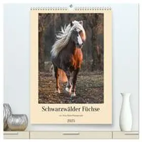 Hahn / CALVENDO |  Schwarzwälder Füchse von Julia Hahn Photography (hochwertiger Premium Wandkalender 2025 DIN A2 hoch), Kunstdruck in Hochglanz | Sonstiges |  Sack Fachmedien