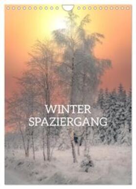 Becker / CALVENDO |  Winter Spaziergang (Wandkalender 2025 DIN A4 hoch), CALVENDO Monatskalender | Sonstiges |  Sack Fachmedien