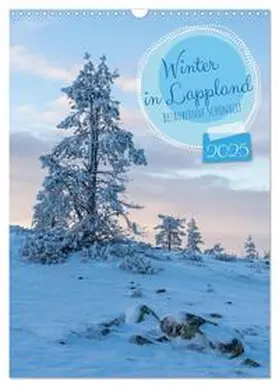 Schulz / CALVENDO |  Winter in Lappland - Bezaubernde Schönheit (Wandkalender 2025 DIN A3 hoch), CALVENDO Monatskalender | Sonstiges |  Sack Fachmedien