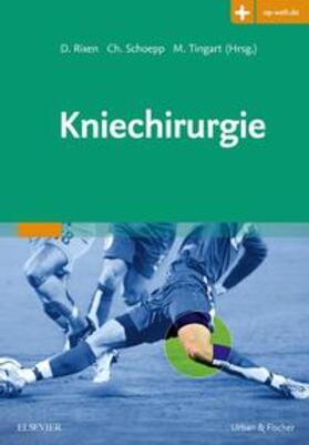 Rixen / Schoepp / Tingart |  Kniechirurgie | Buch |  Sack Fachmedien