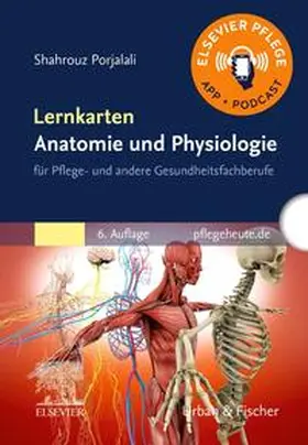 Porjalali |  Lernkarten Anatomie und Physiologie | Sonstiges |  Sack Fachmedien