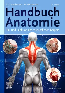 Speckmann / Wittkowski |  Handbuch Anatomie | Buch |  Sack Fachmedien