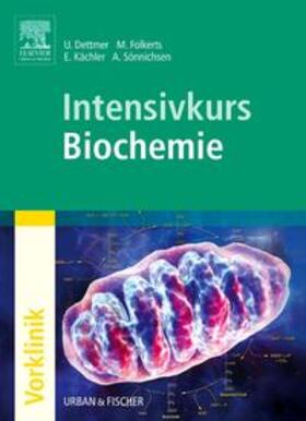 Dettmer / Folkerts / Kächler |  Intensivkurs Biochemie | Buch |  Sack Fachmedien