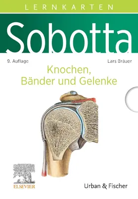 Bräuer |  Sobotta Lernkarten Knochen, Bänder und Gelenke | Sonstiges |  Sack Fachmedien