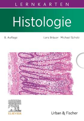 Bräuer / Scholz |  Lernkarten Histologie | Sonstiges |  Sack Fachmedien