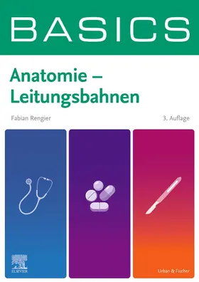 Rengier |  BASICS Anatomie - Leitungsbahnen | Buch |  Sack Fachmedien