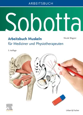 Wagner |  Sobotta Arbeitsbuch Muskeln | Buch |  Sack Fachmedien