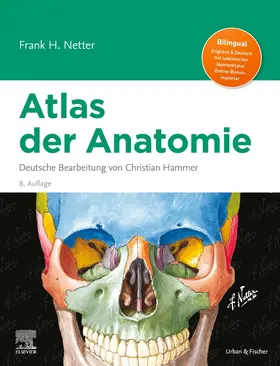 Netter |  Netter Atlas der Anatomie | Buch |  Sack Fachmedien