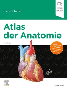 Netter |  Atlas der Anatomie | Buch |  Sack Fachmedien