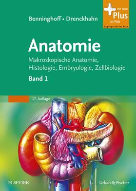 Drenckhahn | Benninghoff, Drenckhahn, Anatomie | Buch | 978-3-437-42342-0 | sack.de