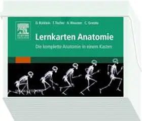 Bürklein / Weusten / Tischer |  Lernkarten Anatomie | Sonstiges |  Sack Fachmedien