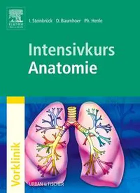 Steinbrück / Baumhoer / Henle |  Intensivkurs Anatomie | Buch |  Sack Fachmedien