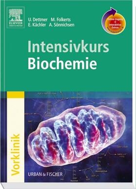 Dettmer / Folkerts / Kächler |  Intensivkurs Biochemie mit StudentConsult-Zugang | Buch |  Sack Fachmedien