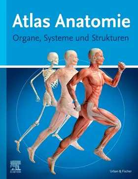 Elsevier GmbH |  Atlas Anatomie | Buch |  Sack Fachmedien