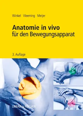 Winkel / Vleeming / Meijer |  Anatomie in vivo für den Bewegungsapparat | Buch |  Sack Fachmedien