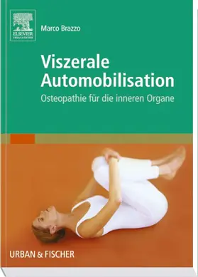 Brazzo |  Viszerale Automobilisation | Buch |  Sack Fachmedien